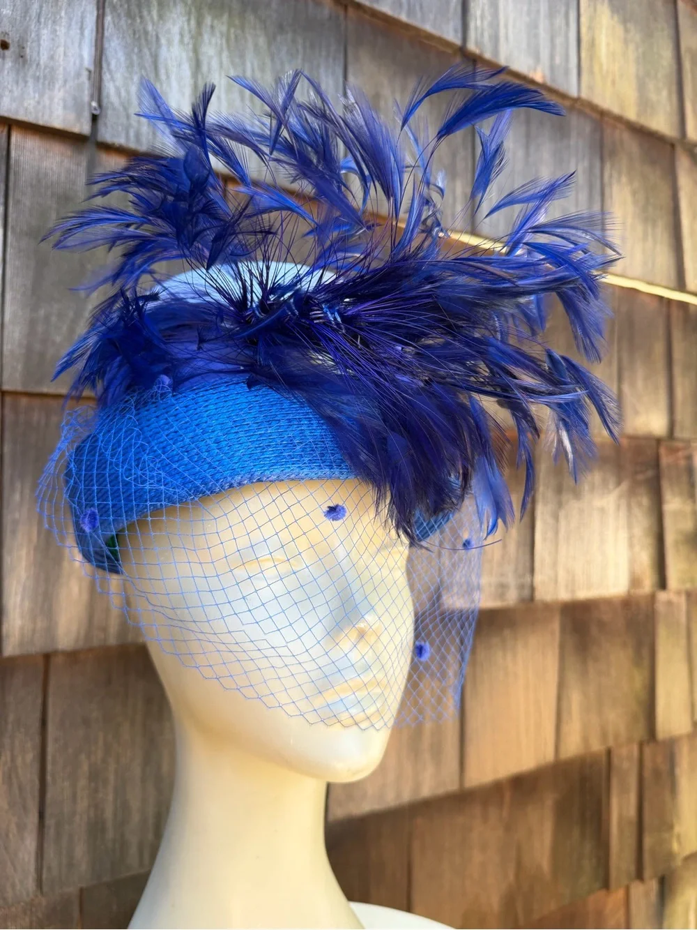 Sandra new york brim feathers or